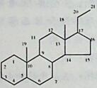 甾体激素类药物按结构特点可分雌甾烷类、雄甾烷类、孕甾烷类。下列药物属于孕甾烷的是（）。