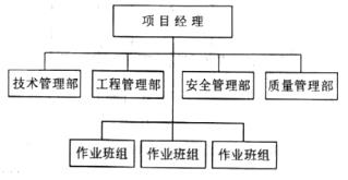 (2015年)某施工组织机构如下图所示，该组织机构属于()组织形式。