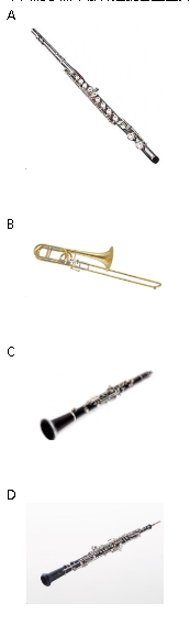 下面的乐器中哪件是铜管五重奏中的乐器（ ）。
