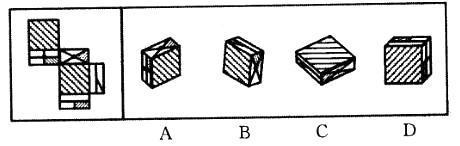 下面四个所给的选项中，哪一项不能由左边给定的图形折出？