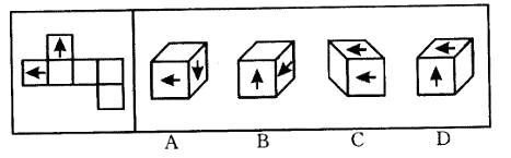 左边给定的是纸盒的外表面，右边哪一项能由它折叠而成？