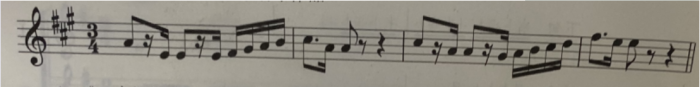 下面谱例出自肖邦的哪部钢琴作品？（  ）