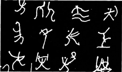 图中是2008年北京奥运会部分体育项目的图标，其借鉴的汉字字体是（　　）。